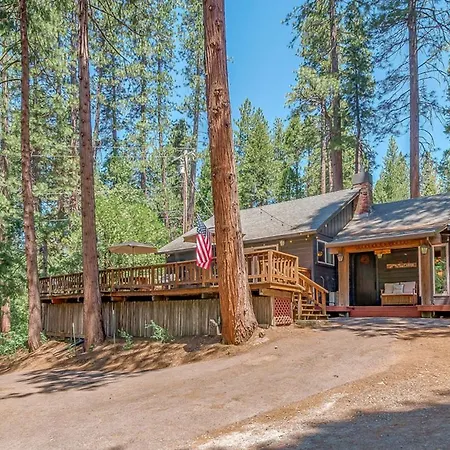 Cozy Bear Cabin